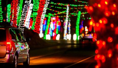 Following vandalism, donors help Lights in the Parkway rebuild