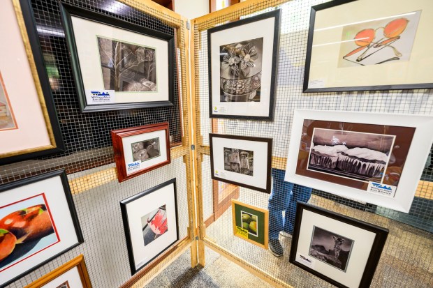 Allen high school student's art work is on display Saturday, May 24, 2025, during Mayfair at Cedar Crest College in Allentown. The festival of the arts continues until Sunday evening with a 9 pm drone show.  (April Gamiz/The Morning Call)