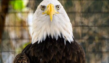 Things to do in the Lehigh Valley this weekend