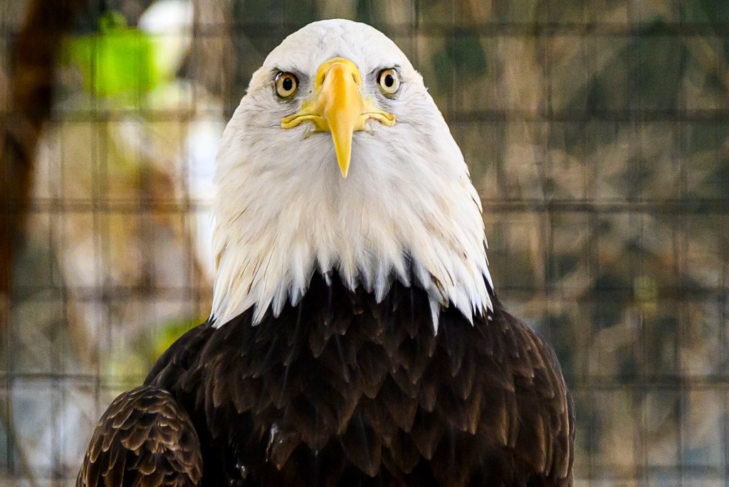 Things to do in the Lehigh Valley this weekend