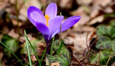 Spring start brings warmer temperatures