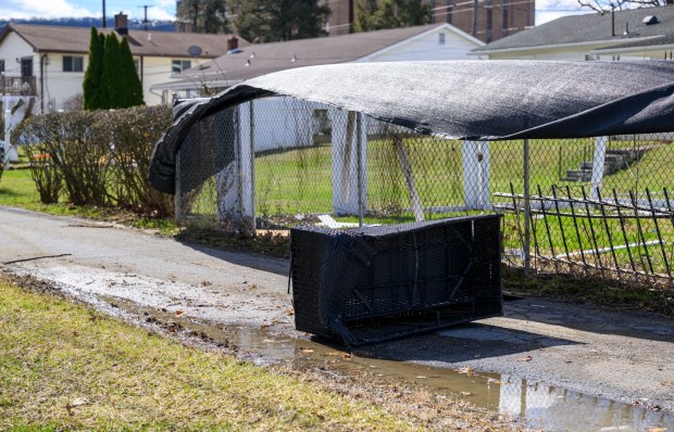 Storm damage from Monday night's strong winds is seen Tuesday, March 17, 2026, in an alleyway between Devonshire Road and South 12th Street in Allentown. Storms blew off roofs and downed trees and power lines around the Lehigh Valley, leaving thousands without electricity. (April Gamiz/The Morning Call)