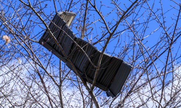 Storm damage from Monday night's strong winds is seen Tuesday, March 17, 2026, in an alleyway between Devonshire Road and South 12th Street in Allentown. Storms blew off roofs and downed trees and power lines around the Lehigh Valley, leaving thousands without electricity. (April Gamiz/The Morning Call)