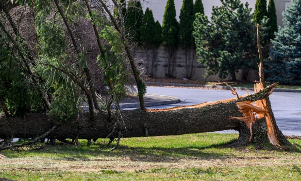 Damage is seen Tuesday, March 17, 2026, on South 12th Street in Allentown by Monday night's strong winds. Storms blew off roofs and downed trees and power lines around the Lehigh Valley, leaving thousands without electricity. (April Gamiz/The Morning Call)
