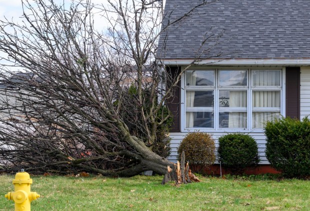 Damage is seen Tuesday, March 17, 2026, on South 12th Street in Allentown by Monday night's strong winds. Storms blew off roofs and downed trees and power lines around the Lehigh Valley, leaving thousands without electricity. (April Gamiz/The Morning Call)