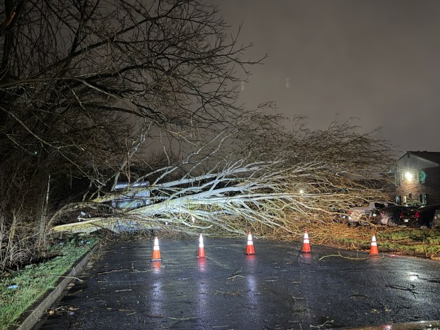 Storms bring strong winds late Monday, March 16, 2026, near Mack Blvd. in Allentown downing trees and wires, and leading to widespread power outages. (Rich Rolen/Special to The Morning Call)