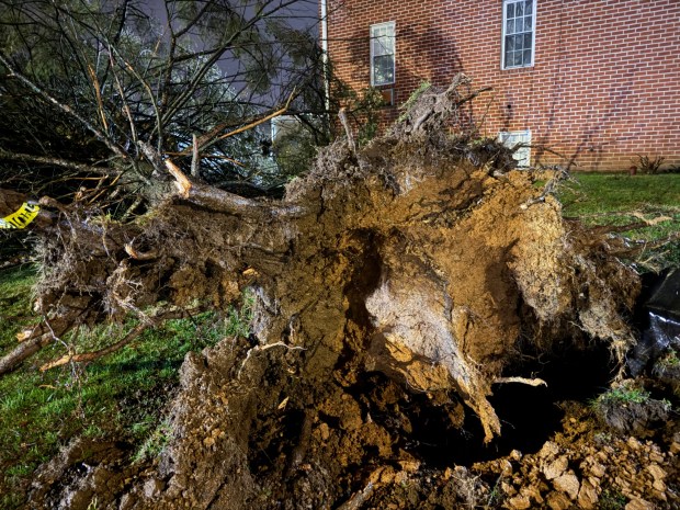 Storms bring strong winds late Monday, March 16, 2026, near Mack Blvd. in Allentown downing trees and wires, and leading to widespread power outages. (Rich Rolen/Special to The Morning Call)