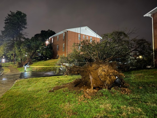 Storms bring strong winds late Monday, March 16, 2026, near Mack Blvd. in Allentown downing trees and wires, and leading to widespread power outages. (Rich Rolen/Special to The Morning Call)