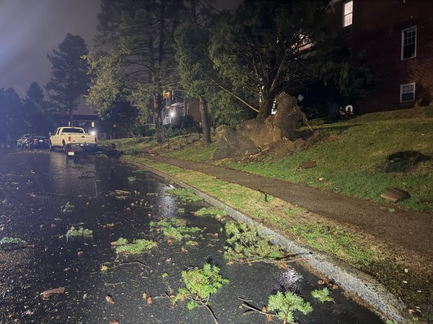 Storms bring strong winds late Monday, March 16, 2026, near Mack Blvd. in Allentown downing trees and wires, and leading to widespread power outages. (Rich Rolen/Special to The Morning Call)