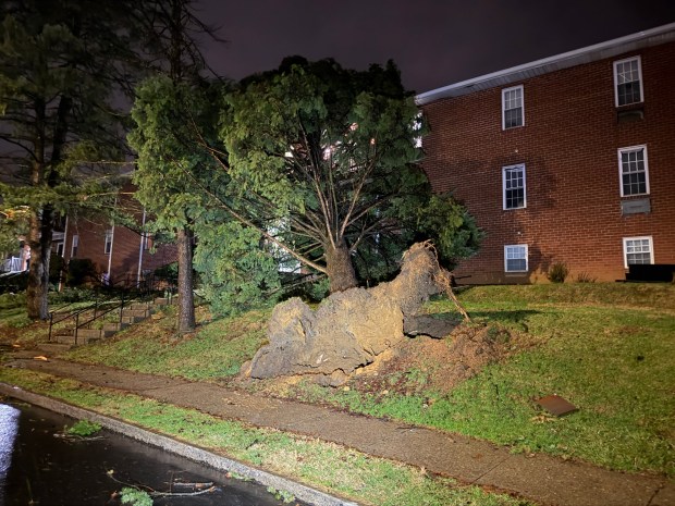 Storms bring strong winds late Monday, March 16, 2026, near Mack Blvd. in Allentown downing trees and wires, and leading to widespread power outages. (Rich Rolen/Special to The Morning Call)