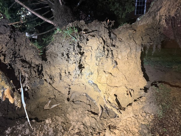 Storms bring strong winds late Monday, March 16, 2026, near Mack Blvd. in Allentown downing trees and wires, and leading to widespread power outages. (Rich Rolen/Special to The Morning Call)