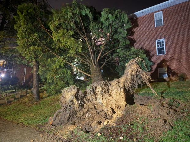Storms bring strong winds late Monday, March 16, 2026, near Mack Blvd. in Allentown downing trees and wires, and leading to widespread power outages. (Rich Rolen/Special to The Morning Call)