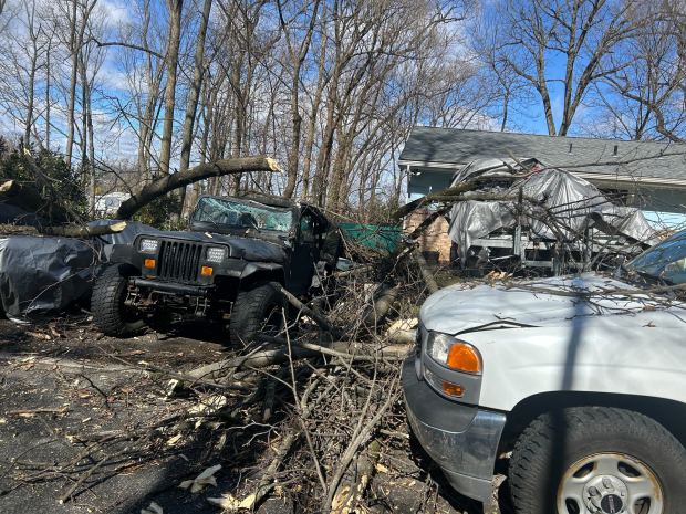 Fallen tree limbs sit on top of several cars Tuesday, March 17, 2026, in Allentown. Resident Josh Morrero said six cars were damaged, including a rare, vintage Chevrolet Nova he had planned to take to a car show. (Lindsay Weber / The Morning Call)