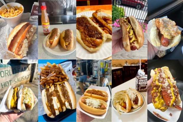 Clockwise, from top left: Hot dogs from Austin's Texas Hot Dogs (Tyrone), William Penn Restaurant (Lebanon), The Squeeze-In (Sunbury), Reedsville Creamery (Reedsville), Lenny's Hot Dogs (Feasterville-Trevose), Home Depot Hot Dog Cart (King of Prussia), Coney Island Lunch (Shamokin), The Homedog LLC (Hanover), Jimmy's (New Castle), and Brunish's Grocery (Pottstown).