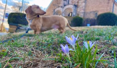 Lehigh Valley ties record with early 80-degree day