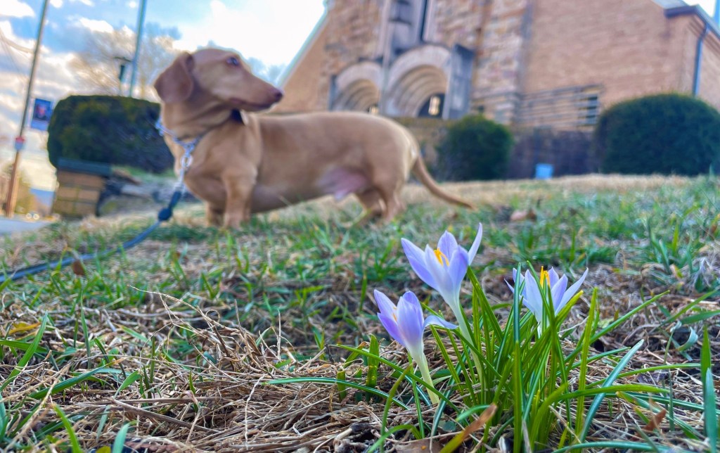 Lehigh Valley ties record with early 80-degree day