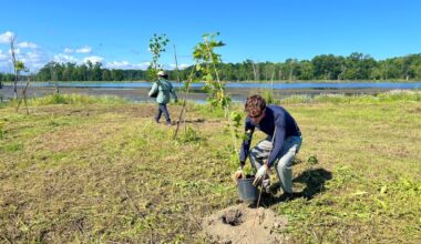 Lake Erie Community Grant provides $750,000 for Mentor Marsh restoration
