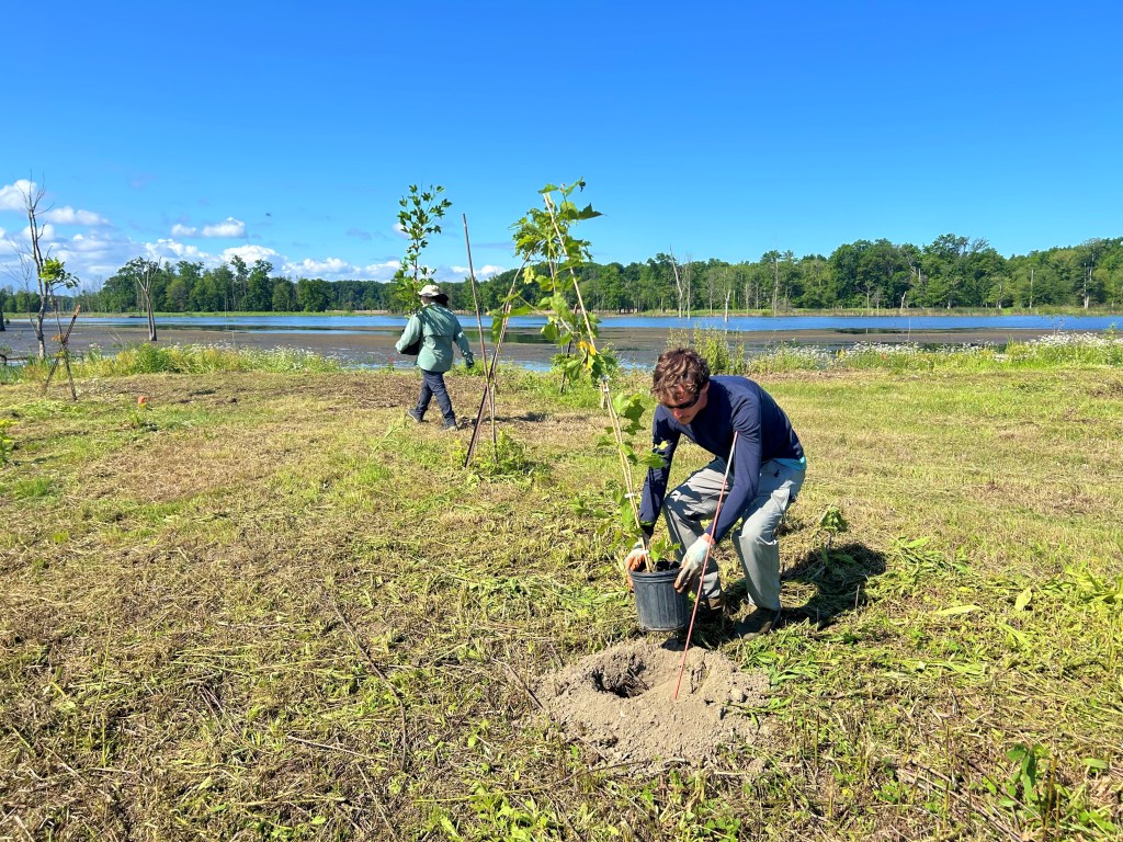 Lake Erie Community Grant provides $750,000 for Mentor Marsh restoration