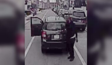 Footage shows man steal dog in Fern Rock, police say – NBC10 Philadelphia