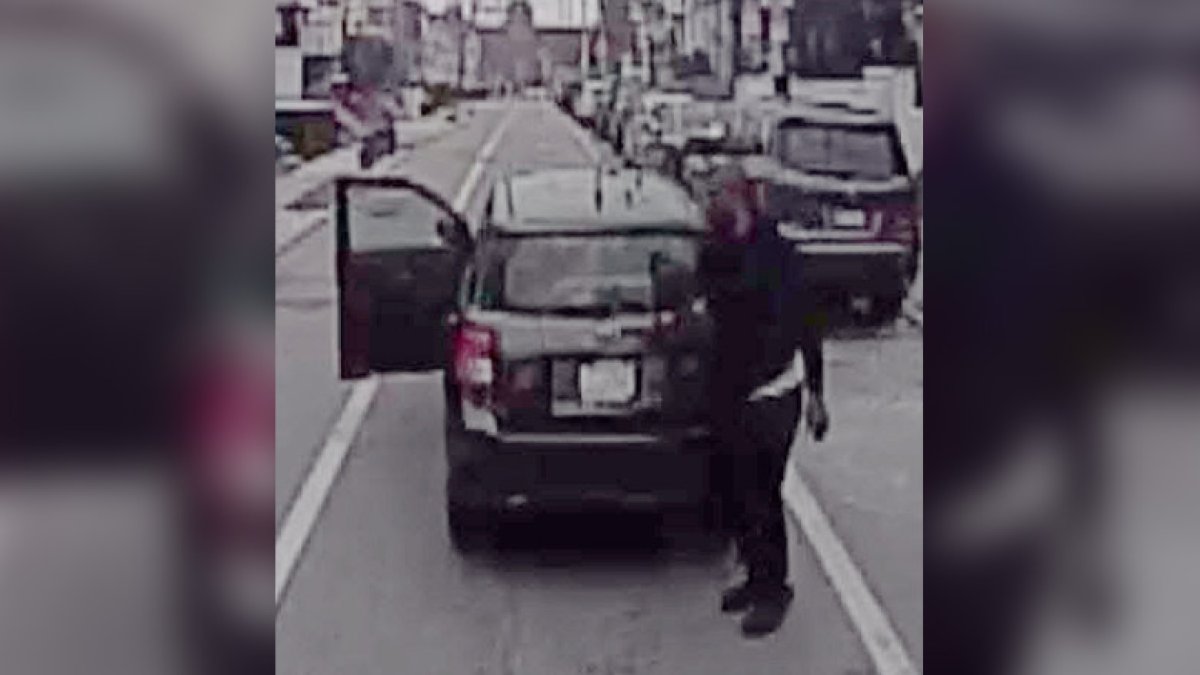 Footage shows man steal dog in Fern Rock, police say – NBC10 Philadelphia