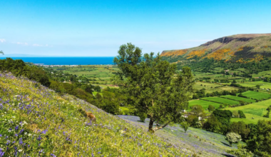 Philadelphia’s deep Irish roots make Ireland a meaningful trip for America’s 250th