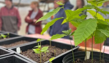 Application open for summer community-impact internships in Pittsburgh