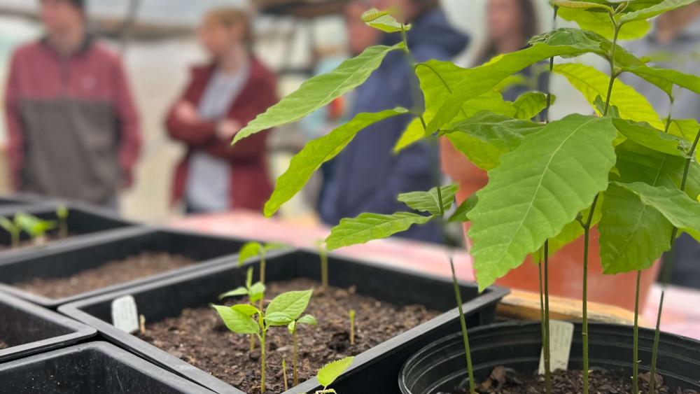 Application open for summer community-impact internships in Pittsburgh