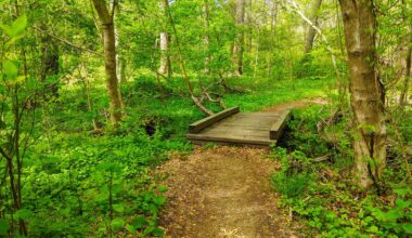 Philly parks will host free runs, bird walks, paddle boating and more for Earth Month