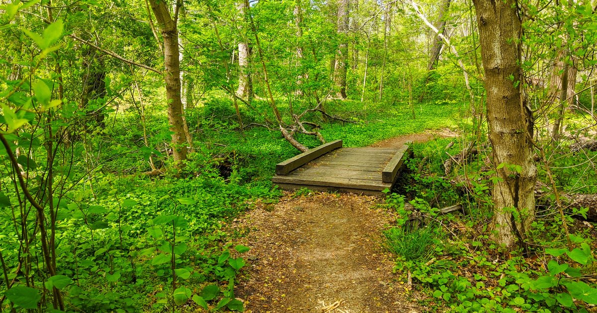 Philly parks will host free runs, bird walks, paddle boating and more for Earth Month