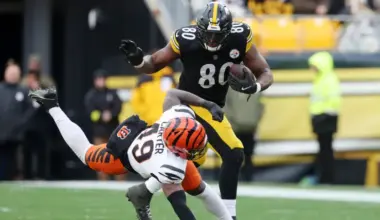 Recently Released Steelers Veteran Praises Darnell Washington image