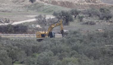 Israeli occupation uproots hundreds of olive trees near Bethlehem