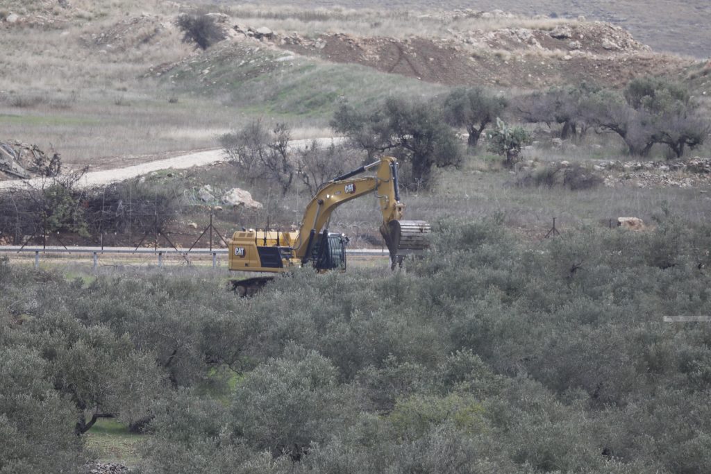 Israeli occupation uproots hundreds of olive trees near Bethlehem