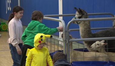 Purim Carnival brings Scranton residents joy amid Iranian tension