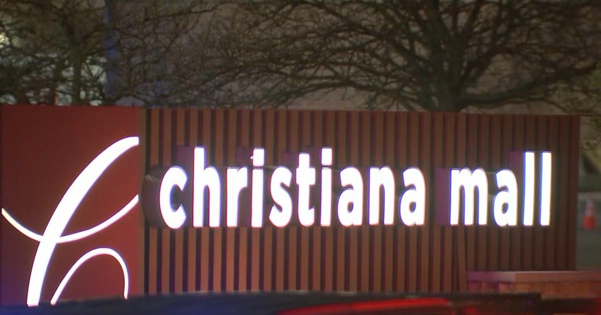 1 in custody after reported armed robbery at Christiana Mall; second suspect at large, police say