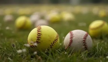 Baseball/softball update: Dogs fall to Dardanelle, SH splits with Scranton