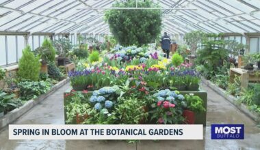 Spring is in bloom at the Buffalo and Erie County Botanical Gardens