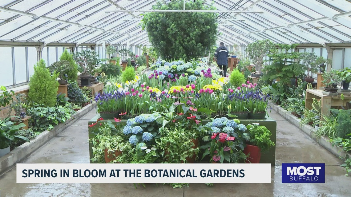 Spring is in bloom at the Buffalo and Erie County Botanical Gardens