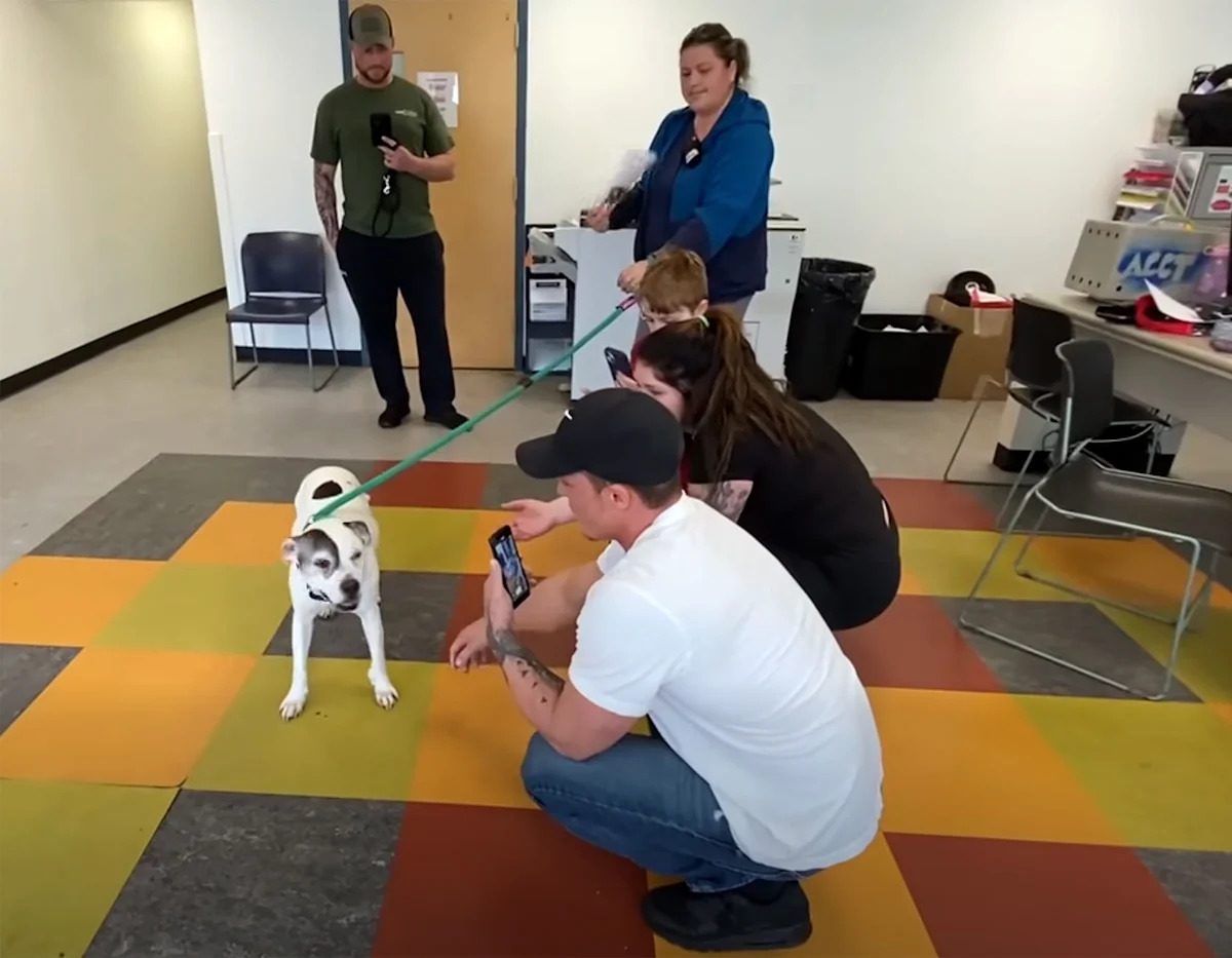 Yahoo lifestyle home