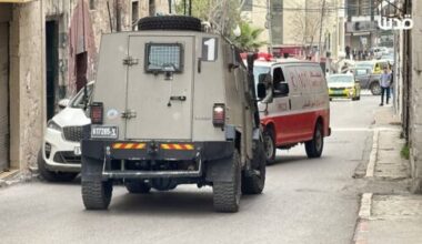 Bethlehem: Illegal Settlers Shoot Two, Assault Two, Steal 100 Sheep |