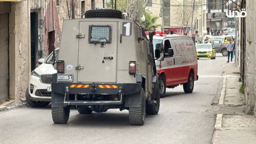 Bethlehem: Illegal Settlers Shoot Two, Assault Two, Steal 100 Sheep |