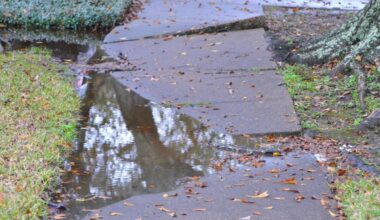 Why the cost? | Pittsburgh Post-Gazette