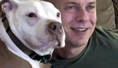 Michael Stackhouse Obituary - Reading, PA