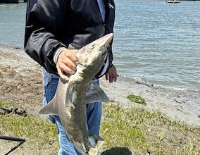 Roger Millisock Obituary - Reading, PA