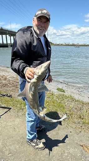 Roger Millisock Obituary - Reading, PA
