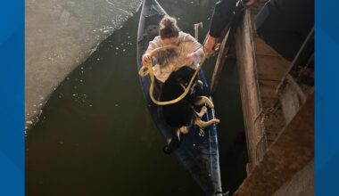 Siberian Husky rescued from icy waters in Sandusky Bay by Erie County deputies