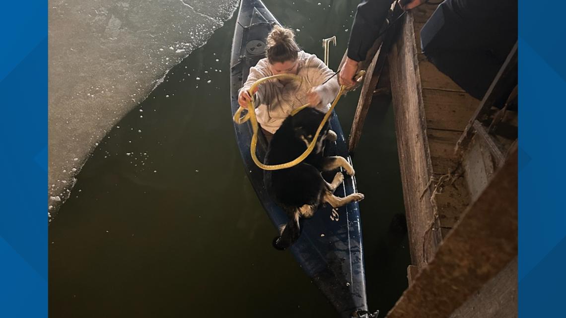 Siberian Husky rescued from icy waters in Sandusky Bay by Erie County deputies