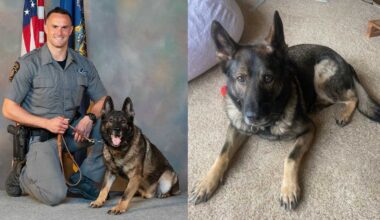 Pa. State Police mourn death of beloved K-9 Senna