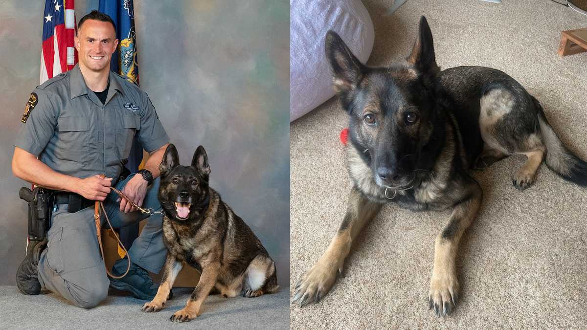 Pa. State Police mourn death of beloved K-9 Senna