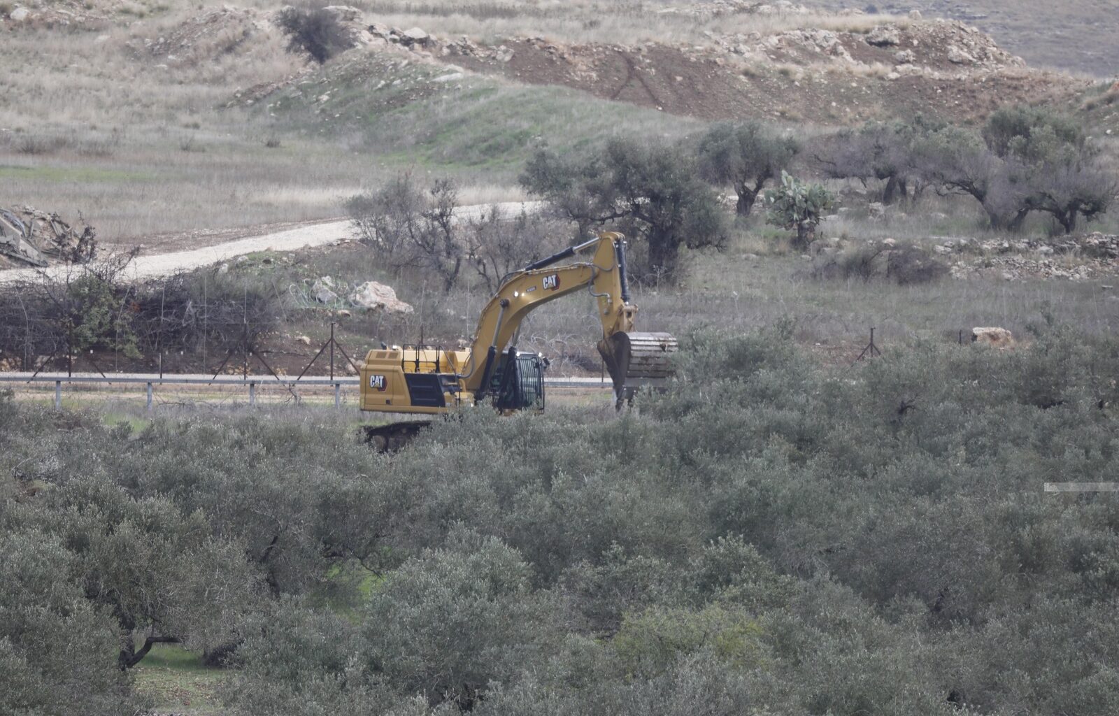 Israeli Enemy Forces Uproot Hundreds of Olive Trees in Wadi al-Homs, East of Bethlehem
