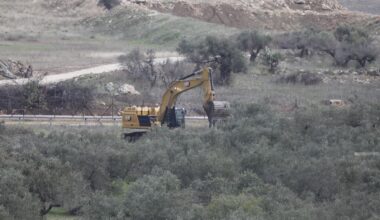 Israeli Enemy Forces Uproot Hundreds of Olive Trees in Wadi al-Homs, East of Bethlehem